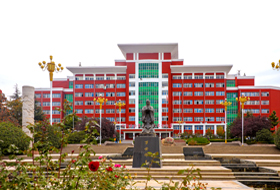 少妇性BBB搡BBB爽爽爽