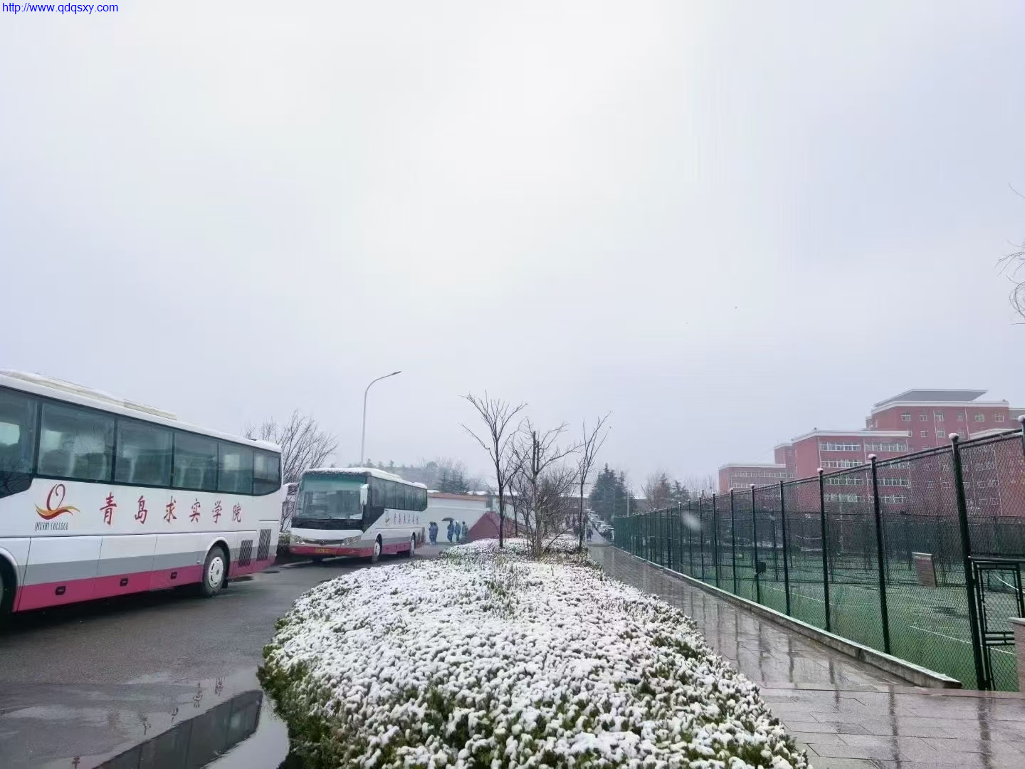 少妇性BBB搡BBB爽爽爽