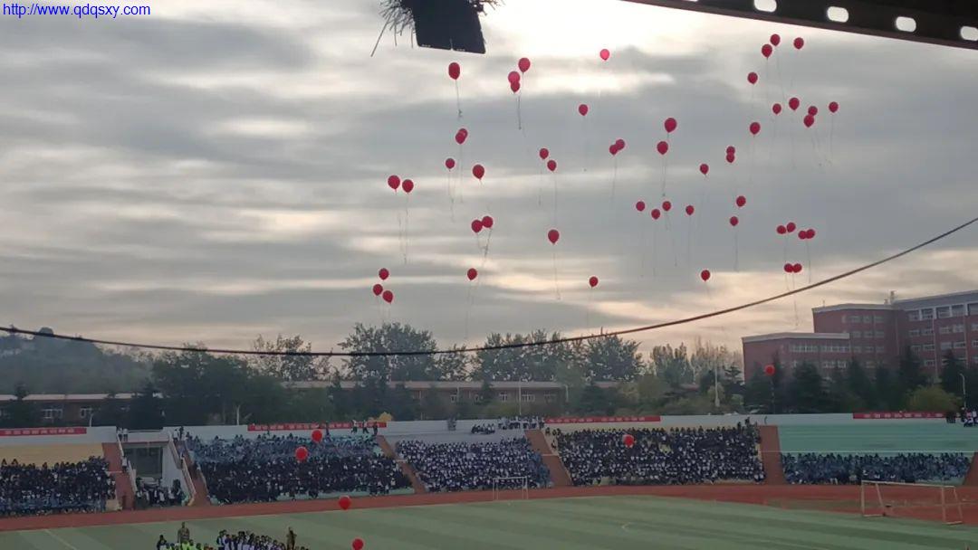 少妇性BBB搡BBB爽爽爽