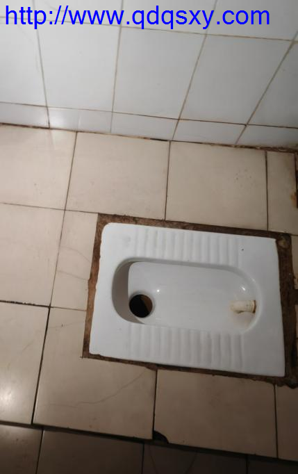 少妇性BBB搡BBB爽爽爽