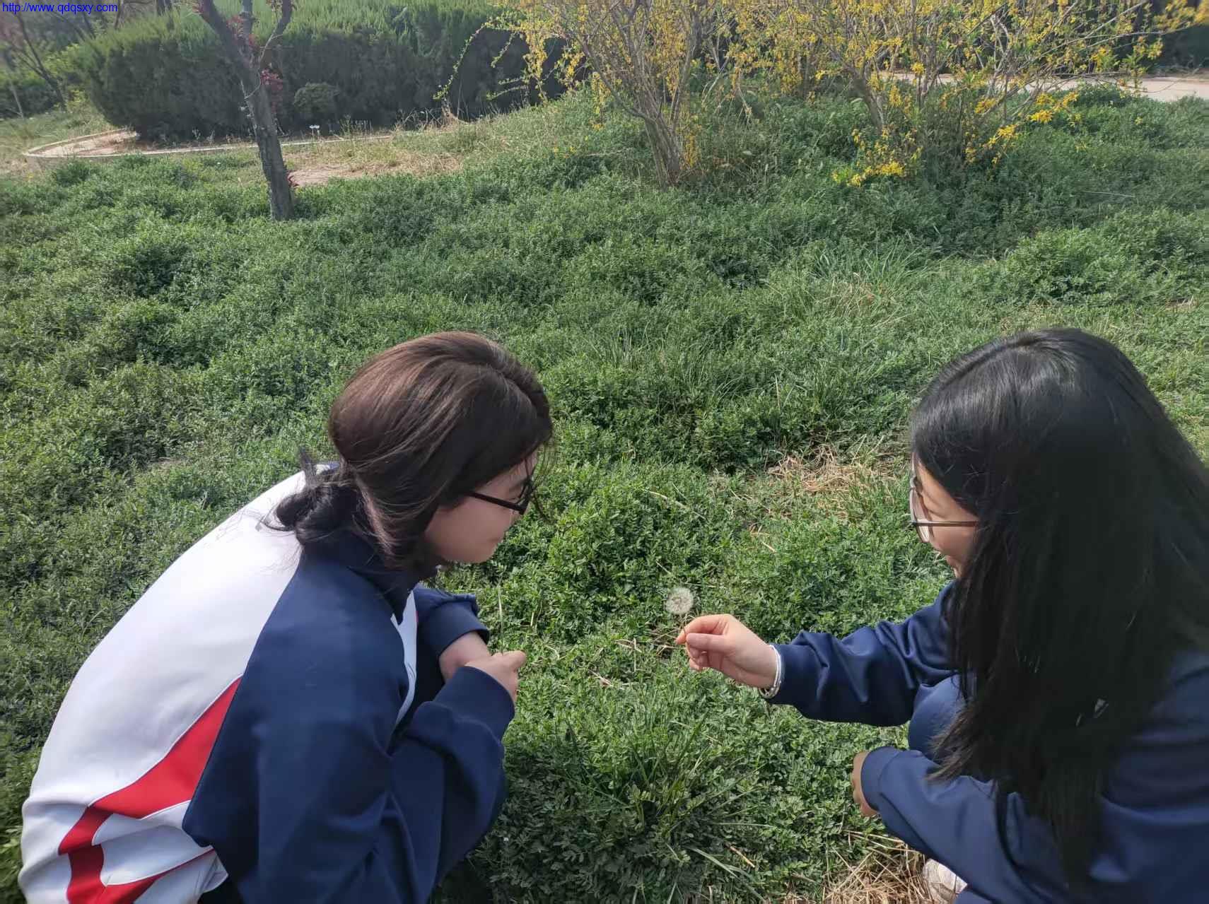少妇性BBB搡BBB爽爽爽