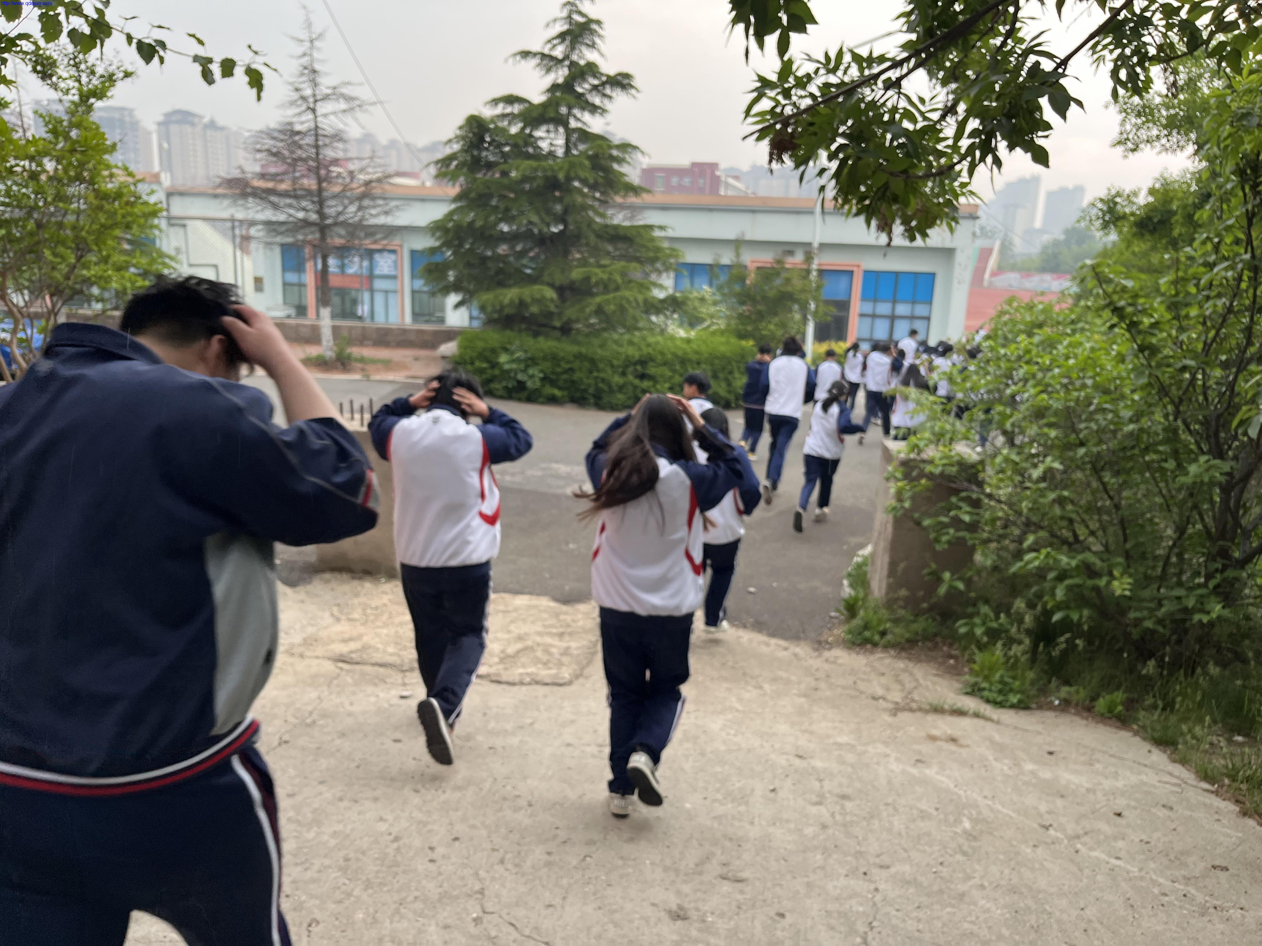 少妇性BBB搡BBB爽爽爽