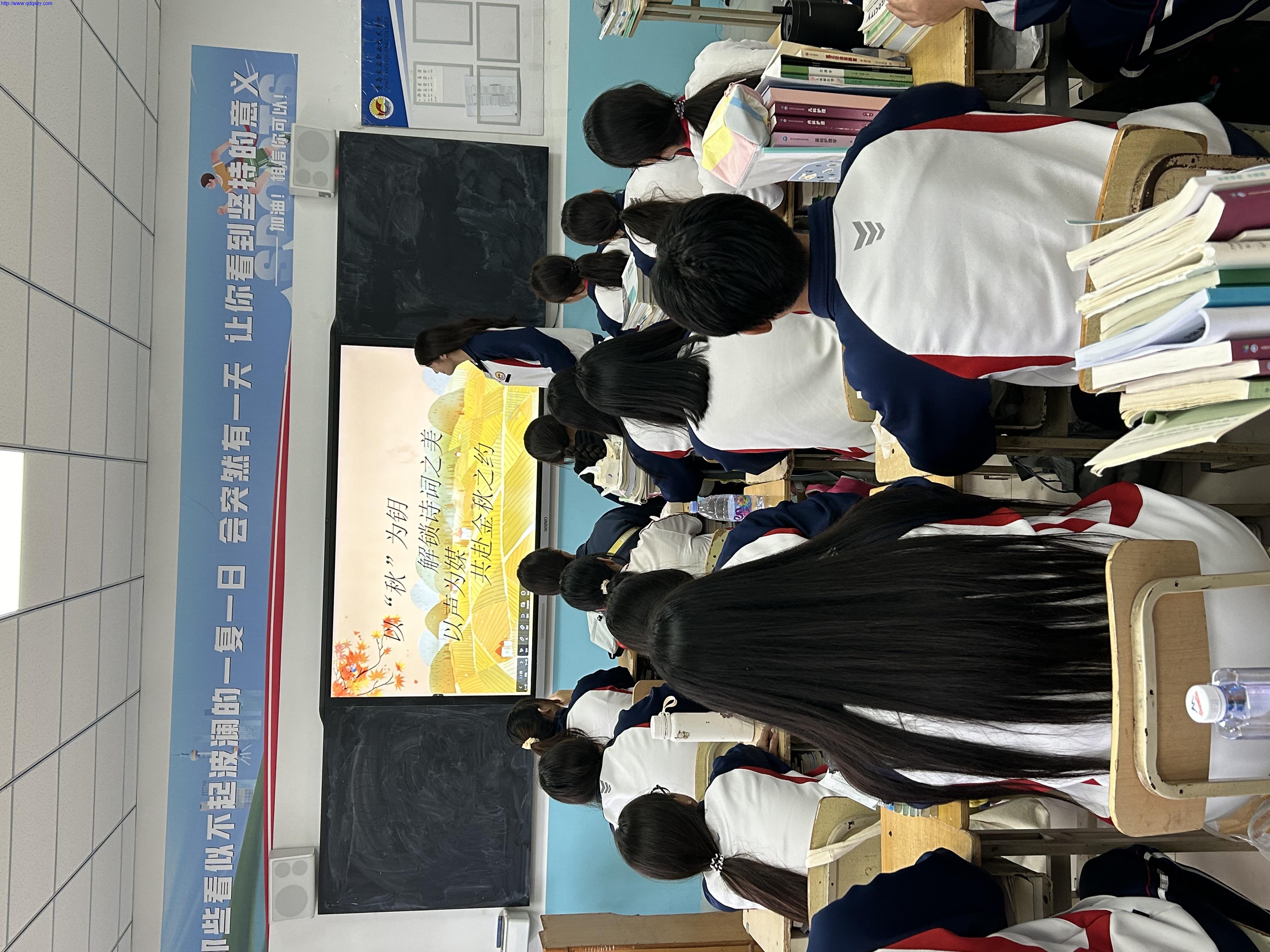 少妇性BBB搡BBB爽爽爽