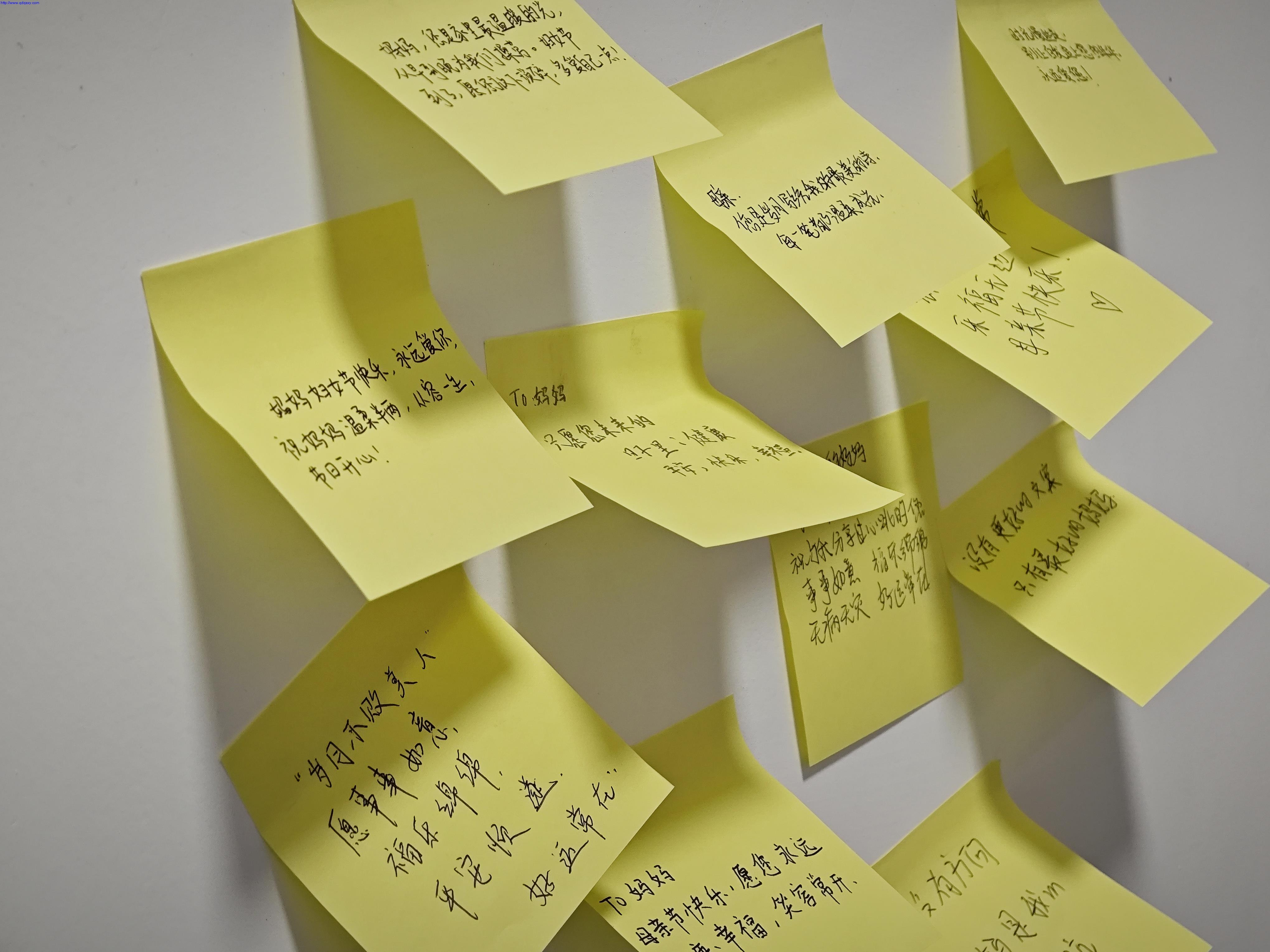 少妇性BBB搡BBB爽爽爽