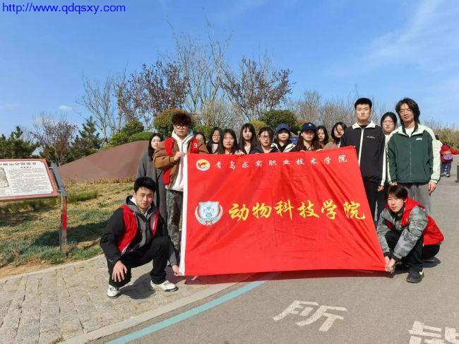 少妇性BBB搡BBB爽爽爽