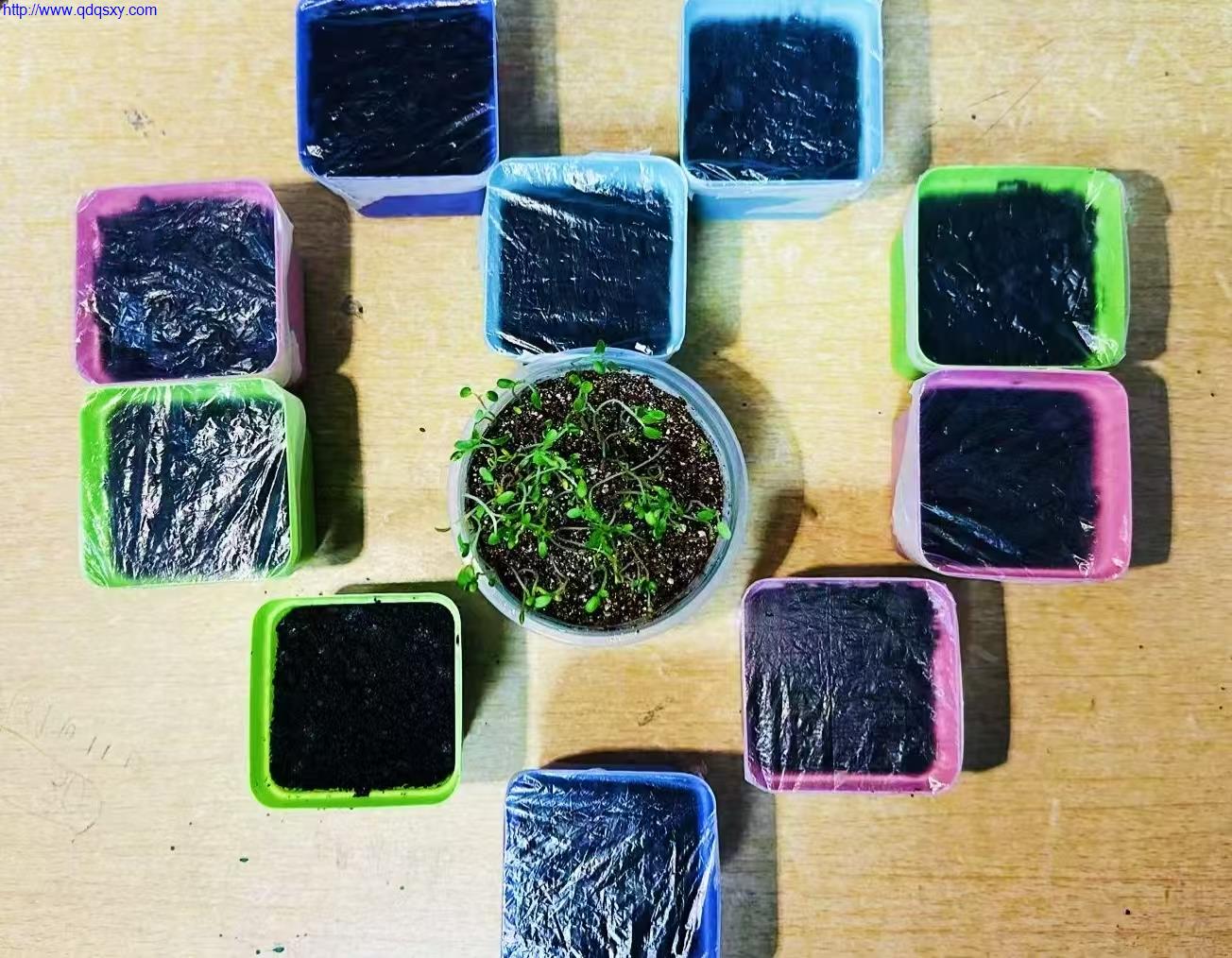 少妇性BBB搡BBB爽爽爽