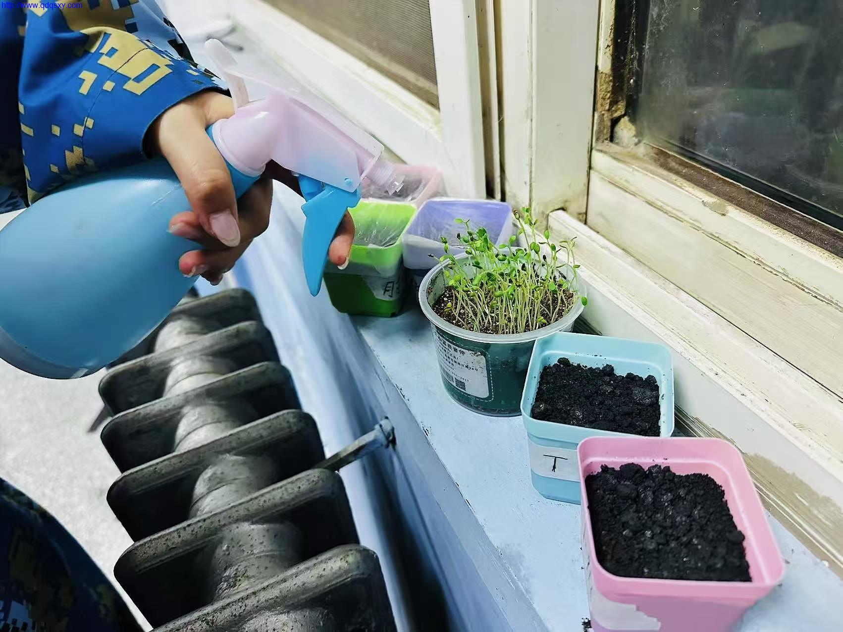 少妇性BBB搡BBB爽爽爽