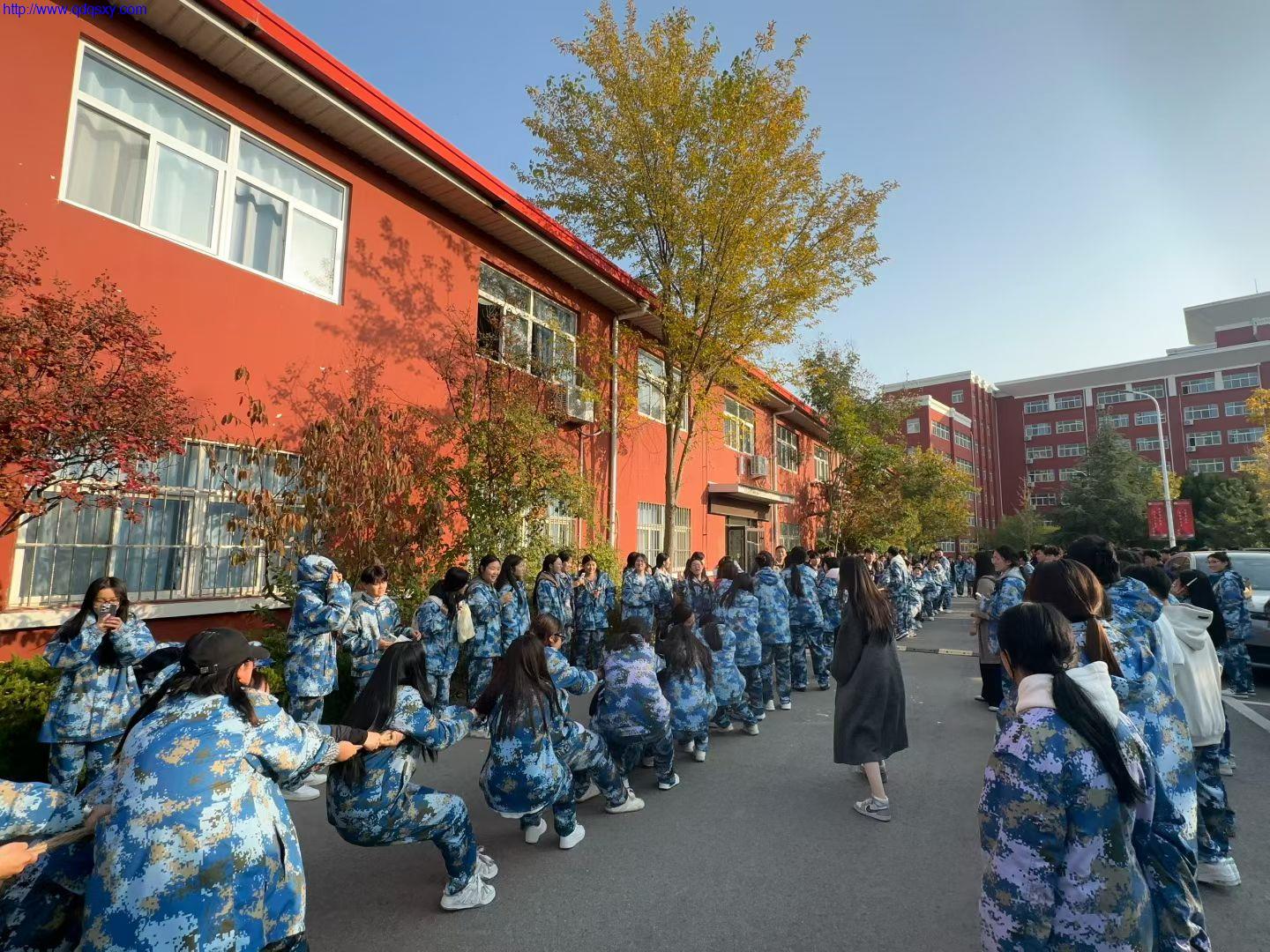 少妇性BBB搡BBB爽爽爽